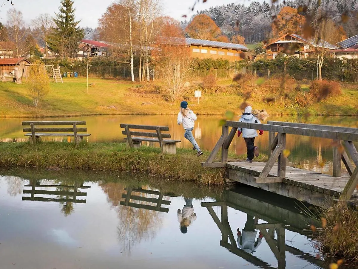 Apartment In Neuschoenau At 300 M From The Lake